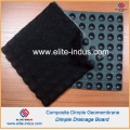 HDPE Dimple Geomembrane for Drainage